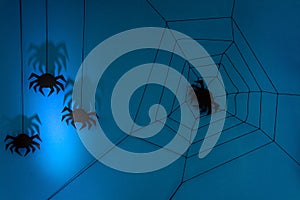 Black paper spider with web on dark blue background. Halloween concept.