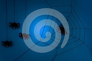 Black paper spider with web on dark blue background. Halloween concept. Paper cut style.