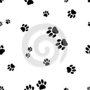 Black paws of cats and kittens on the white background
