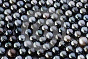 Black pearls photo