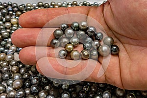 Black pearls in polynesia cook islands