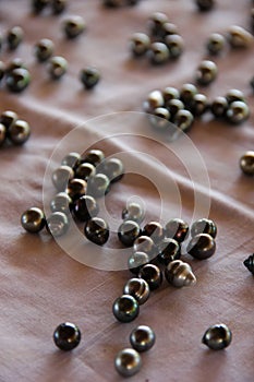 Black Pearls