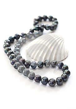 Black pearls and sea shell