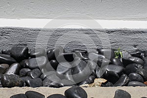 Black pebble stones or rocks with white wall for texture and background Shining smooth natural