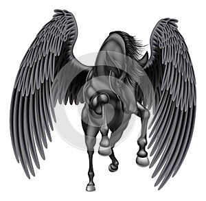 Black Pegasus Winged Horse photo