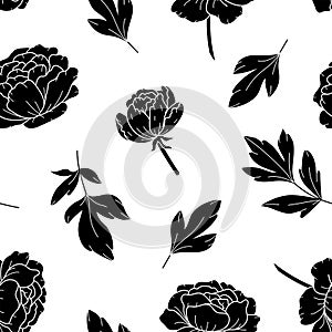 Black peony flower seamless pattern drawing. Vector hand drawn floral background with botanical rose, peony and leaves