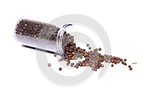 Black pepper