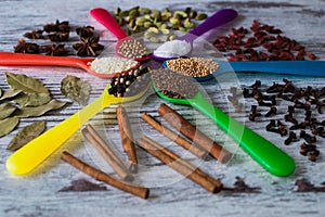 Black pepper, cardamom, coriander, mustard seeds, bay leaf, cinnamon, anise in the colorful