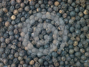 Black Pepper Corns