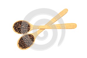 Black pepper corns in wooden spoon isolated on white background