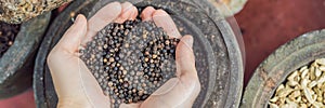 Black pepper in female hands on a background of spices BANNER long format