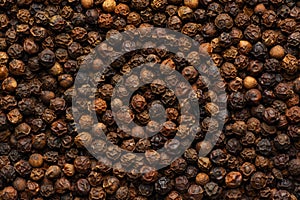 Black pepper grains as background close up.