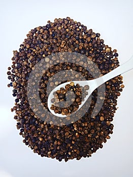 Black pepper