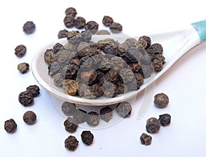 Black pepper in isolated background