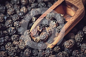 Black pepper macro