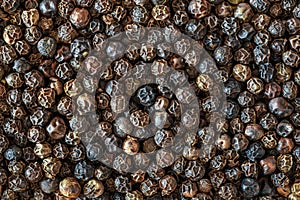 Black pepper pattern - peppercorns banner , peppercorn wallpaper -  - kitchen wallpaper