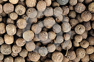 Black pepper peas, close up. black pepper pattern.