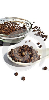 Black pepper or peppercorns in glass bowl with spoon isolated on white background. Black pepper isolated in white background.