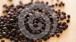 Black pepper seed on rotating stand - closeup