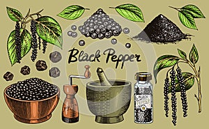 Black pepper set in Vintage style. Mortar and pestle, Allspice or peppercorn, Mill and dried seeds, a bunch of spices