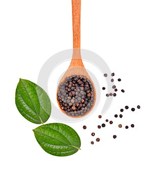 Black Pepper on white background