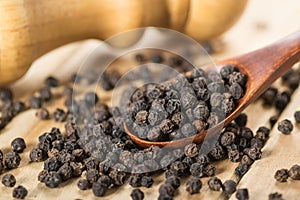 Black pepper