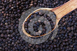 Black pepper in wooden spoon