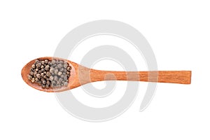 Black pepper on wooden spoon isolated on a white background. Spice in wooden spoon. Top view