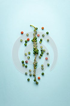 Black peppercorn with fruits isolated