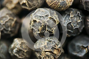 Black Peppercorns