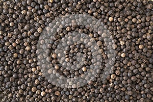 Black peppercorns