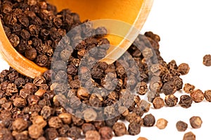 Black Peppercorns isolated