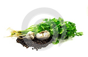 Black peppers,garlic, coriander solated on whtie background photo