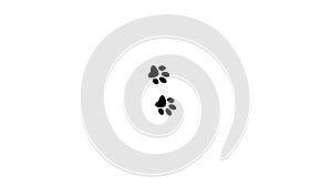 black pet paws - paws of dog and cat - transparent background - 23,98 fps