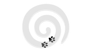 black pet paws - paws of dog and cat - transparent background - 23,98 fps