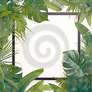 Black picture frame with jungle monster leaves on white background