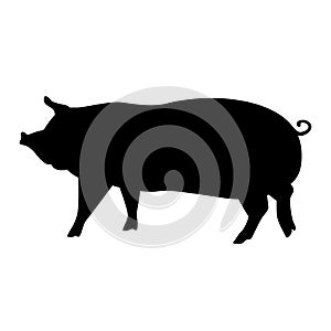 Black pig silhouette.