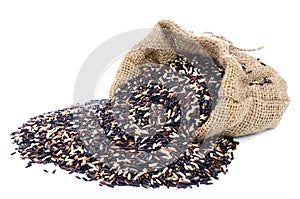 Black pile Rice in Gunny bag with white isolate background