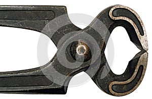 Black Pincer w/ Path (Close View)