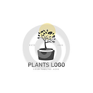 Black plant pot with sun logo design icon illustration