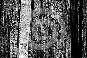 Black plastic mesh reduces sunlight