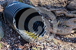 Black plastic pipe emerging from ground.
