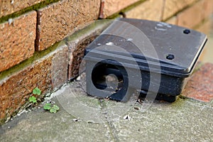 A black plastic rat trap.