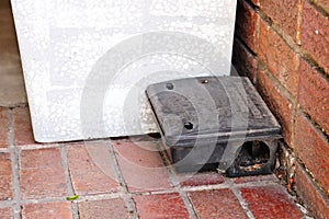 A black plastic rat trap.