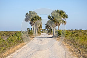 Black Point Drive, Merritt Island Wildlife Refuge