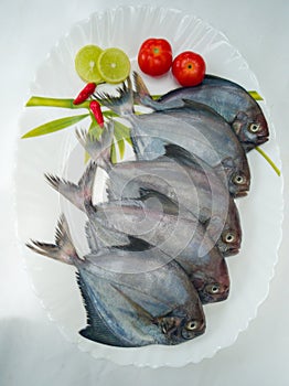 Black Pomfret Decorated with Vegetables and Herbs photo