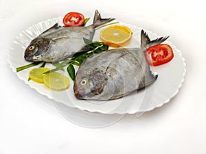 Black Pomfret Decorated with Vegetables and Herbs photo