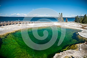 Black Pool Thermal Sits Close To The Edge of Yellowstone Lake