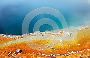 Yellowstone National Park, West Thumb Geyser Basin with Details of Black Pool, Wyoming, USA