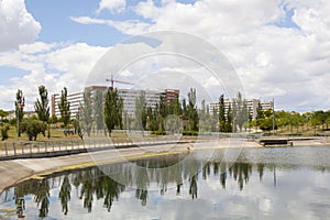 Black poplars over a lake and an urbanization